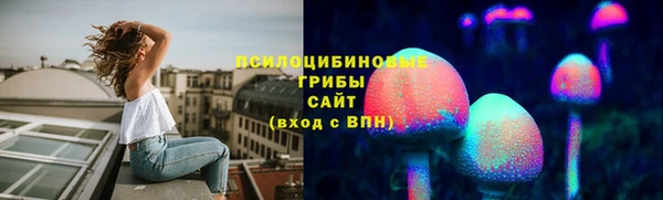 ПСИЛОЦИБИНОВЫЕ ГРИБЫ Верея